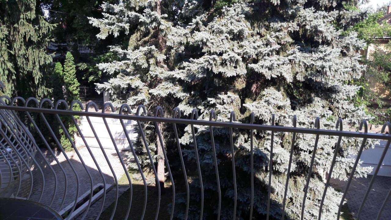Pero Panzio Bed & Breakfast Debrecen Exterior photo